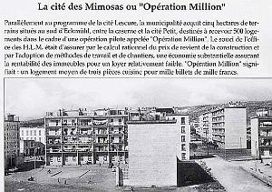 Cite Mimosas 04